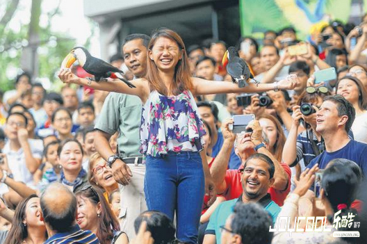 新加坡飞禽公园庆45周年