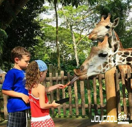 新加坡旅游,新加坡游学,新加坡景点 新加坡旅游,新加坡游学,新加坡景点