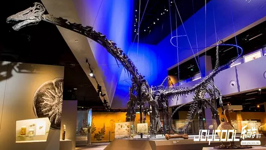 走入新加坡自然历史博物馆