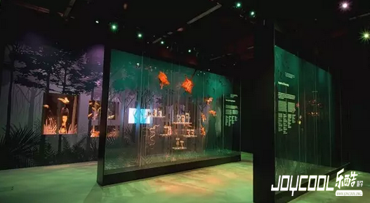 新加坡自然历史博物馆