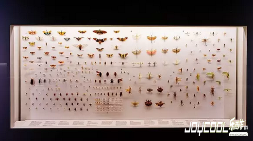 新加坡自然历史博物馆