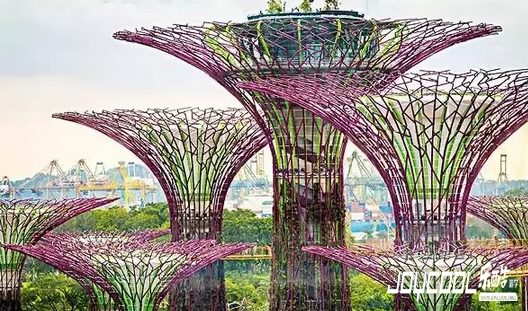 新加坡民丹岛,新加坡游学