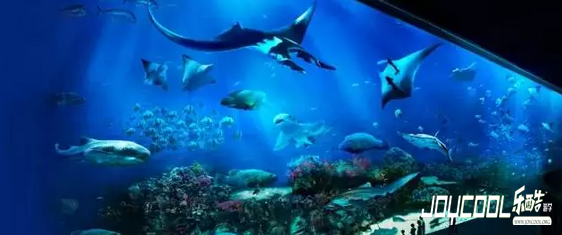 新加坡民丹岛,新加坡游学