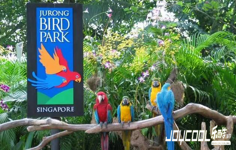 新加坡美景,新加坡游学 新加坡美景,新加坡游学