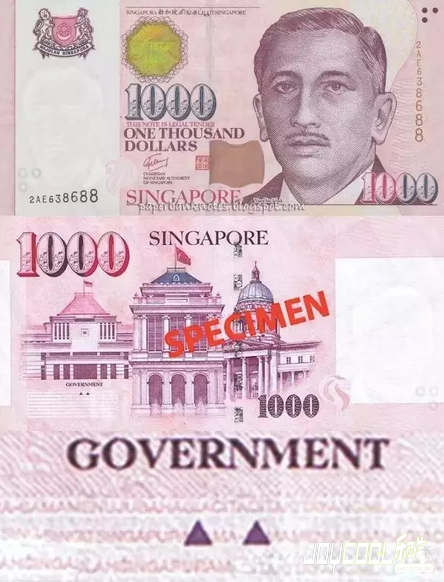 新加坡秘密,新加坡游学