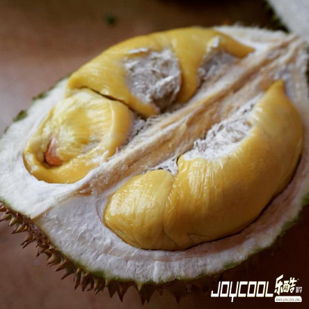 新加坡必吃美食,新加坡游学