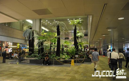 新加坡出行,新加坡游学