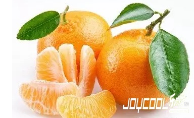 新加坡春节,新加坡游学 新加坡春节,新加坡游学