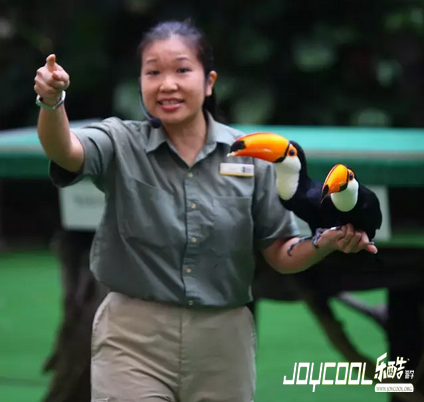 新加坡有一座公园,堪称东南亚鸟类的天堂