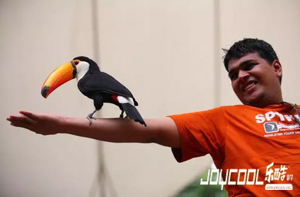 新加坡有一座公园,堪称东南亚鸟类的天堂