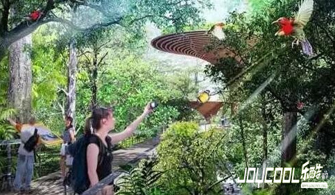 新加坡将建设一条铁道走廊，打造绿色跨岛公园