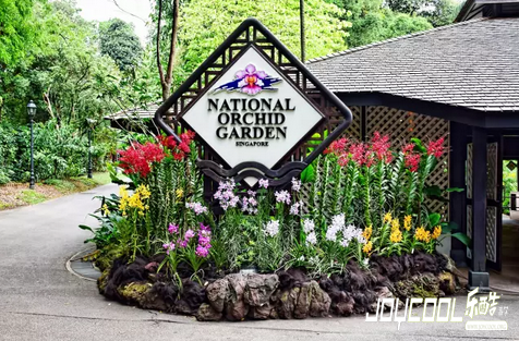 新加坡,克伦尼路,新加坡植物园