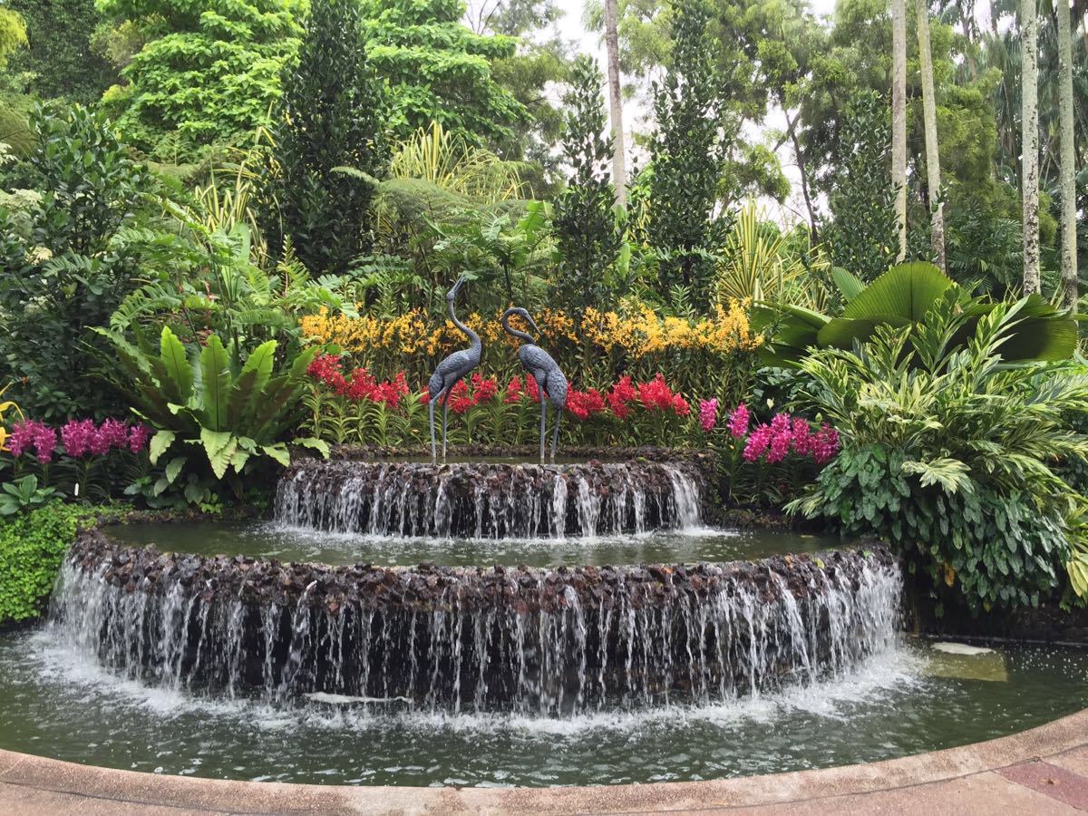 情定花海——新加坡植物园