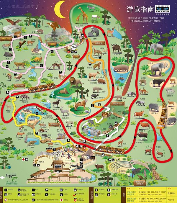 夜幕降临，野生动物活动时