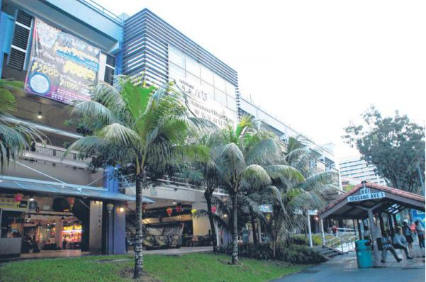 游学“海南村”   罗弄阿苏