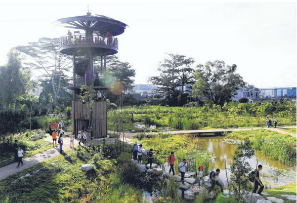 大自然新贵——克兰芝湿地莅临