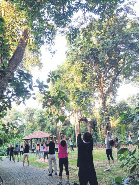 武吉巴督自然保护区——大家的后花园