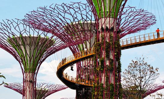 新加坡深度游学之一