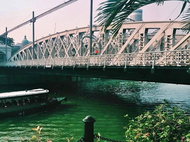 新加坡桥的游学之旅