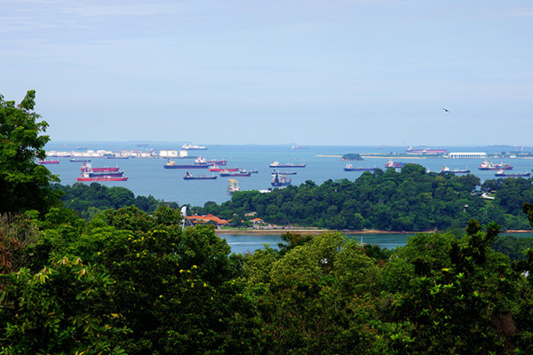 2025冬季环球全真体验 —— 新加坡微留学文化探索之旅