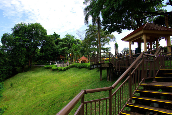 狮城奇遇记：解锁新加坡旅行的全彩秘籍，带你玩转不夜城！