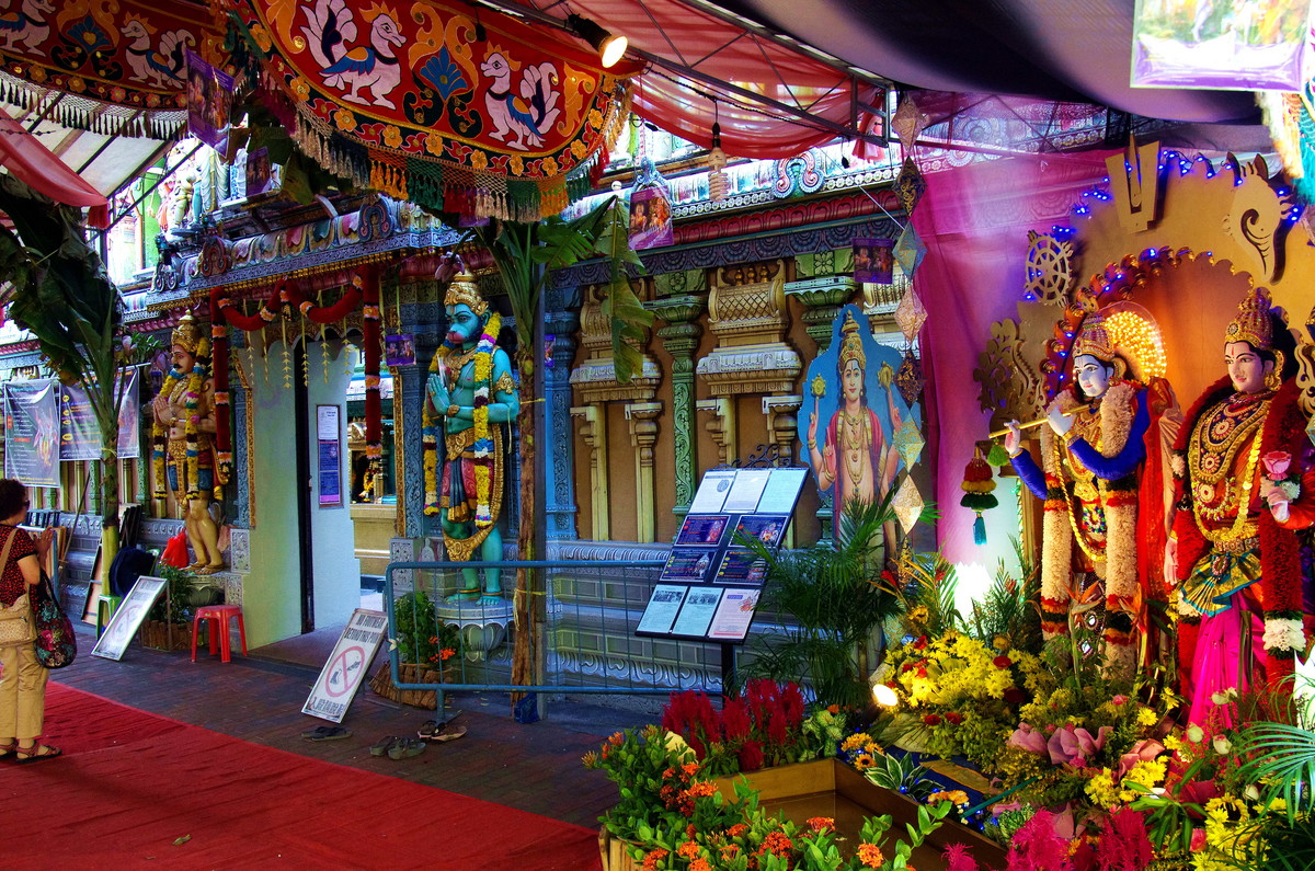 新加坡亲子研学营 6天5晚行程概览